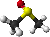 Molecular Structure of Dimethyl Sulfoxide